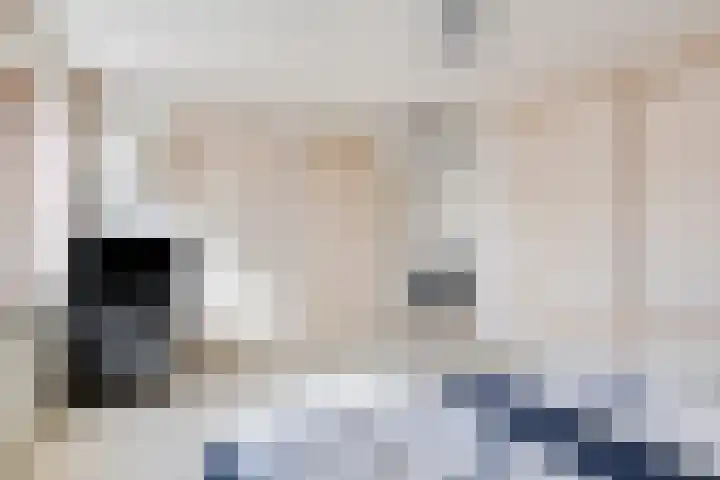 De Wilgen 3 Boekel thumbnail 26