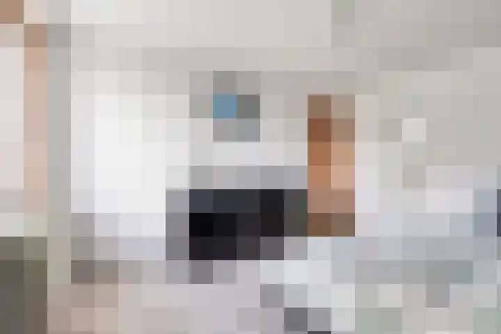 De Wilgen 3 Boekel thumbnail 28