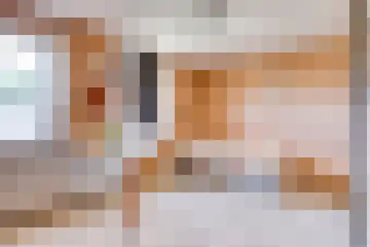 De Wilgen 3 Boekel thumbnail 29