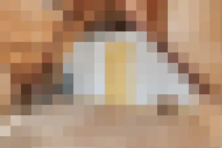 De Wilgen 3 Boekel thumbnail 32