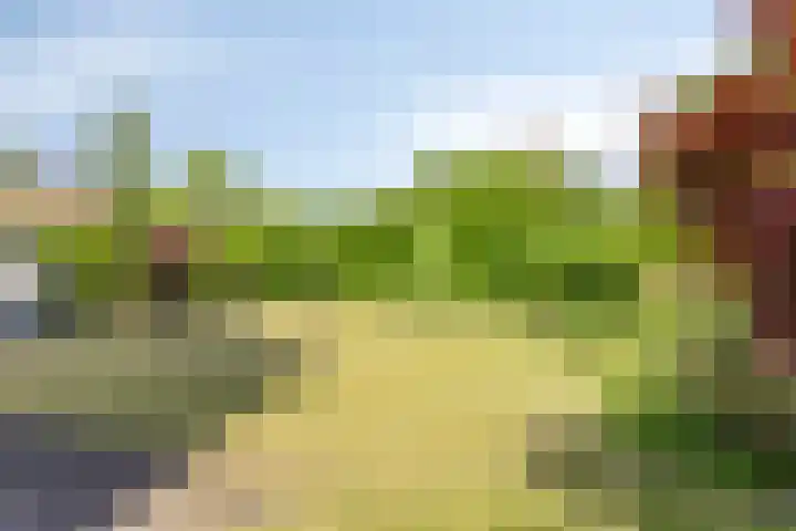 De Wilgen 3 Boekel thumbnail 37