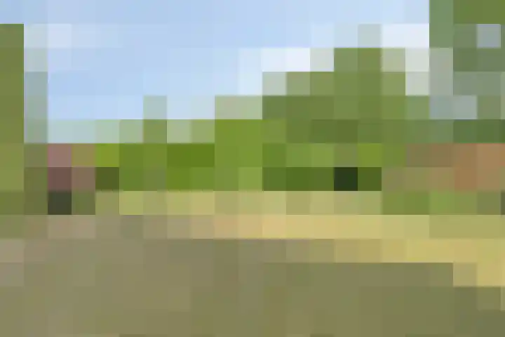 De Wilgen 3 Boekel thumbnail 38
