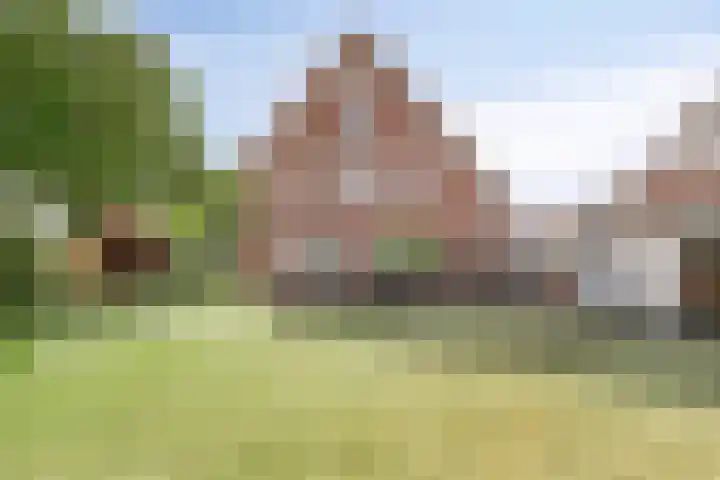 De Wilgen 3 Boekel thumbnail 39