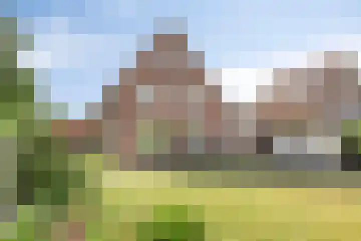 De Wilgen 3 Boekel thumbnail 40