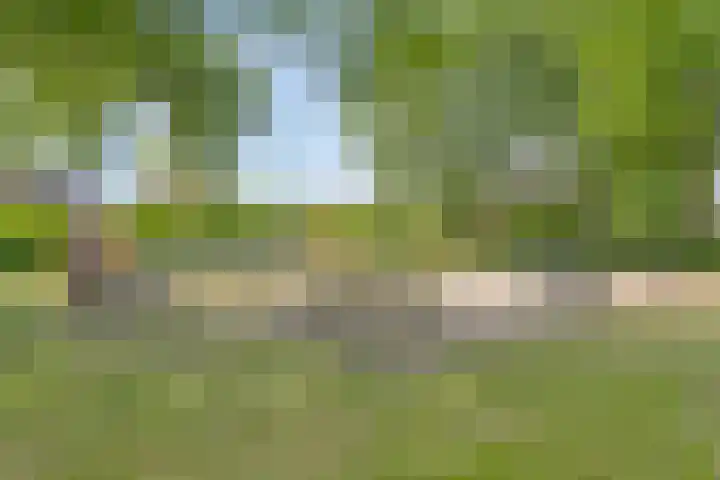 De Wilgen 3 Boekel thumbnail 43