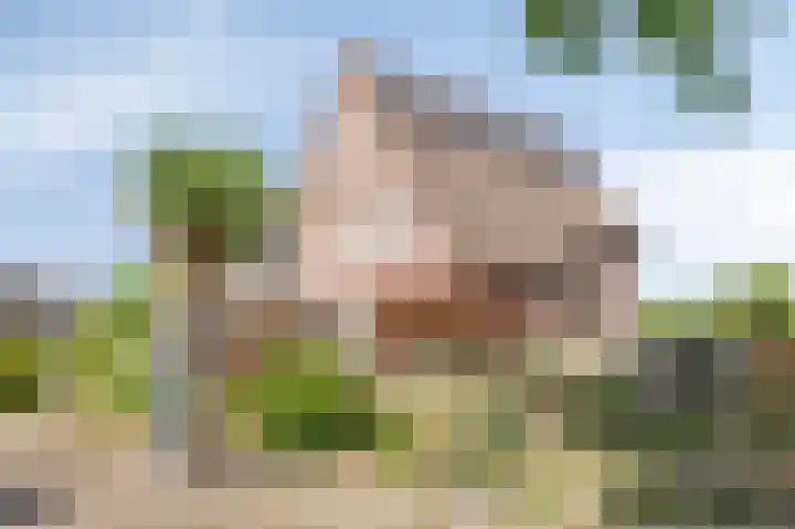 De Wilgen 3 Boekel thumbnail 6