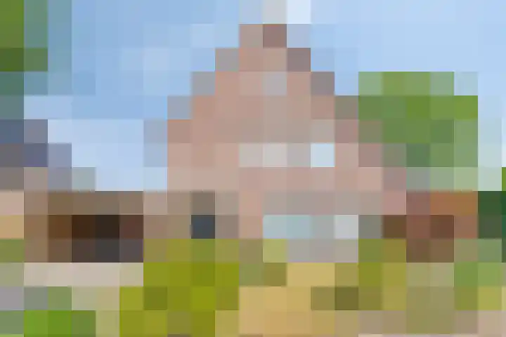 De Wilgen 3 Boekel thumbnail 7