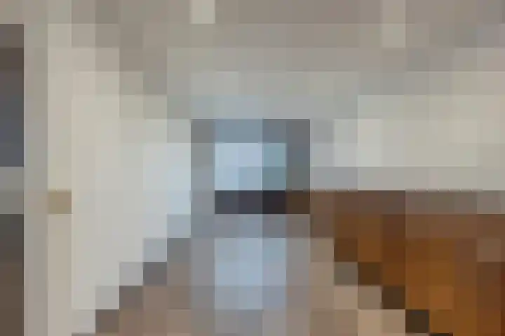 De Wilgen 38 Boekel thumbnail 20