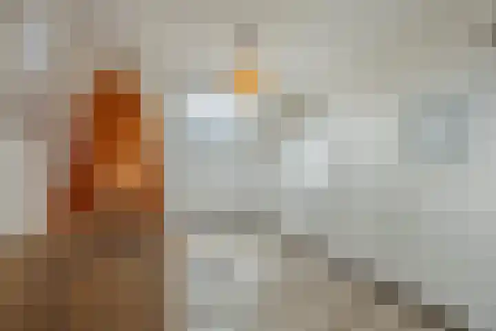 De Wilgen 38 Boekel thumbnail 28