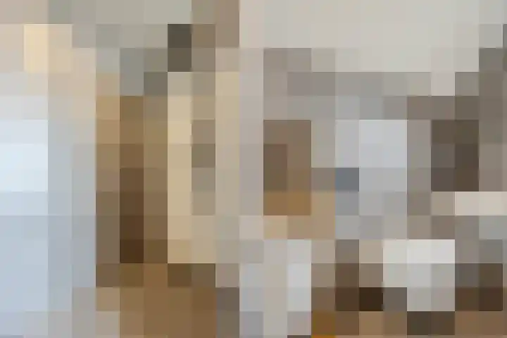 De Wilgen 38 Boekel thumbnail 36