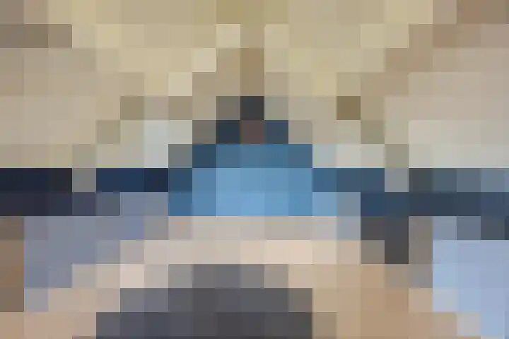 De Wilgen 38 Boekel thumbnail 37