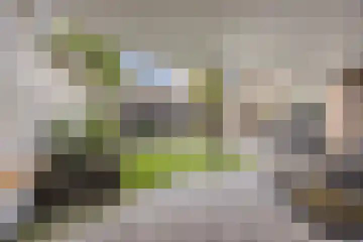 De Wilgen 38 Boekel thumbnail 41