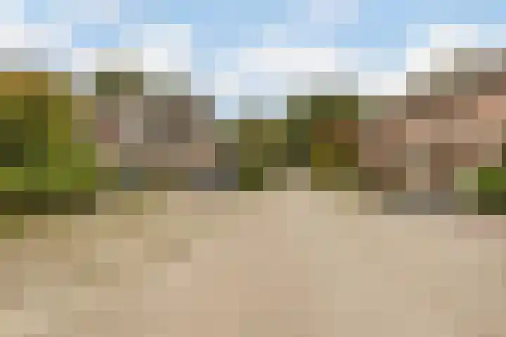 De Wilgen 38 Boekel thumbnail 49