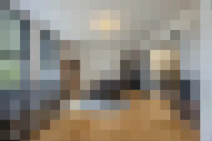 De Wilgen 38 Boekel thumbnail 8