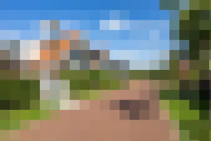 De Wilgen 8 Bedum thumbnail 16