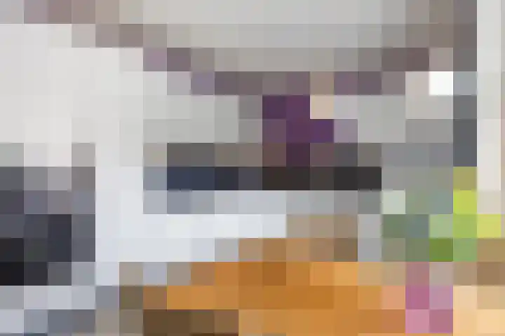 De Wilgen 8 Bedum thumbnail 30