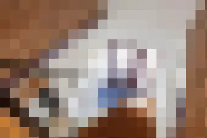 De Wilgen 8 Bedum thumbnail 38