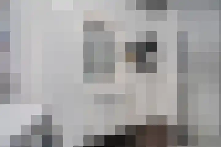 De Wilgen 8 Bedum thumbnail 46