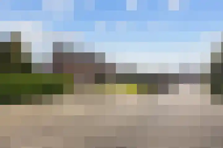 De Wilgen 8 Bedum thumbnail 5