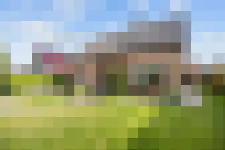 De Wilgen 8 Bedum thumbnail 6