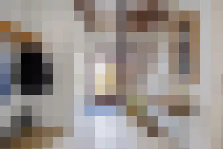 De Wilgen 8 Bedum thumbnail 9