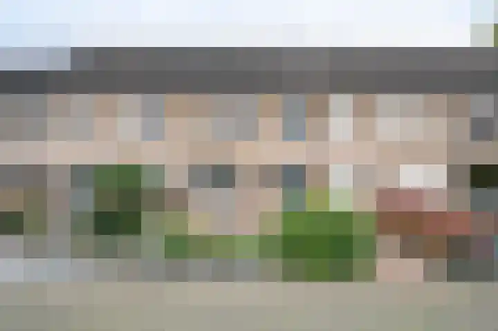 De Wimme 7 Brummen