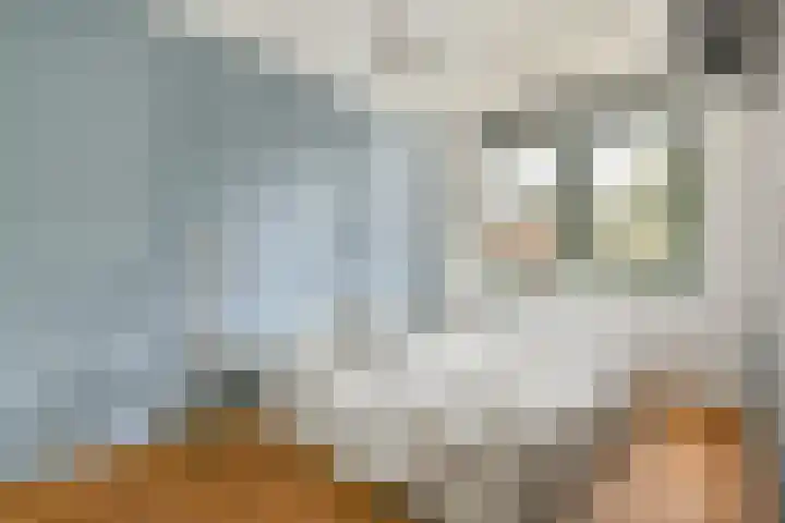 De Windjager 27 Oostzaan thumbnail 15