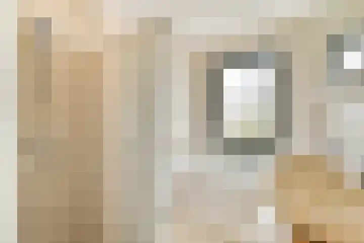 De Windjager 27 Oostzaan thumbnail 22