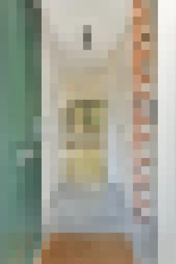 De Windjager 27 Oostzaan thumbnail 31