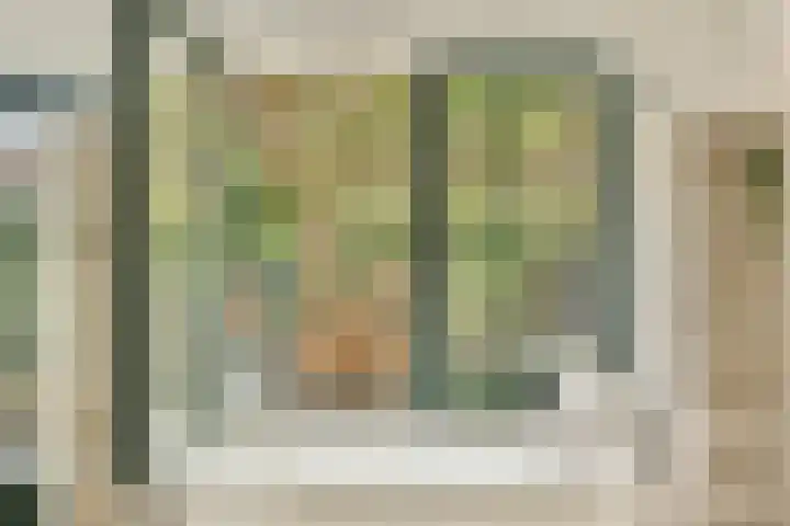De Windjager 27 Oostzaan thumbnail 4