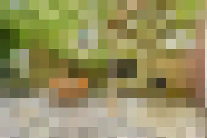 De Windjager 27 Oostzaan thumbnail 6