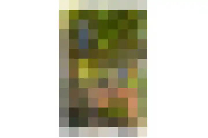 De Windjager 27 Oostzaan thumbnail 7