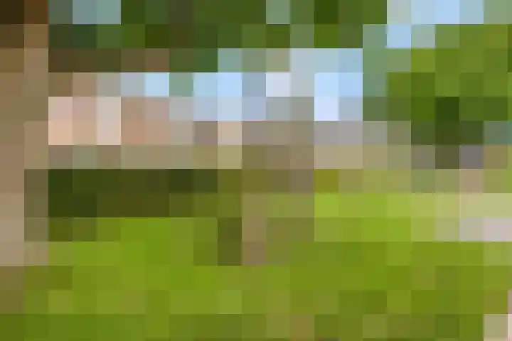 De Windroos 38 Gendt thumbnail 4