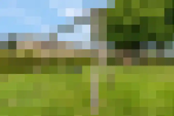 De Windroos 38 Gendt thumbnail 41