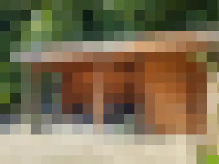 De Windroos 48 Gendt thumbnail 37