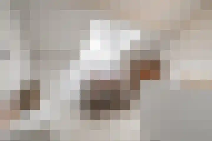 De Wingerd 15 Wierden thumbnail 36