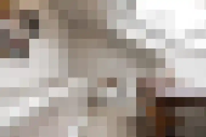 De Wingerd 15 Wierden thumbnail 38