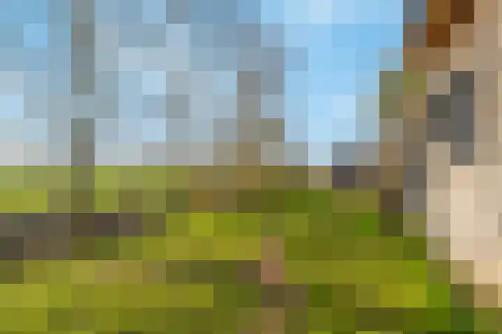 De Wingerd 15 Wierden thumbnail 47