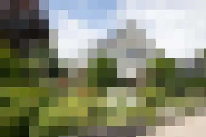 De Wingerd 9 Wierden thumbnail 12