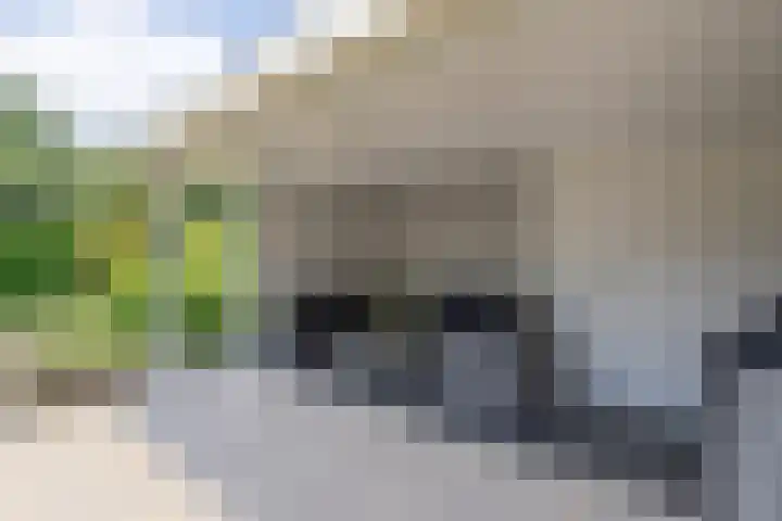 De Wingerd 9 Wierden thumbnail 15