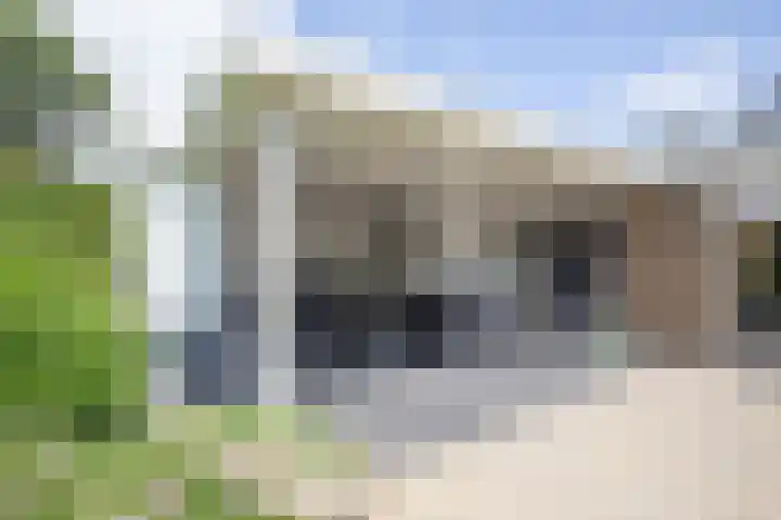 De Wingerd 9 Wierden thumbnail 18