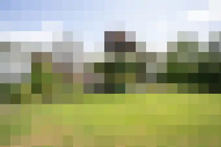 De Wingerd 9 Wierden thumbnail 19