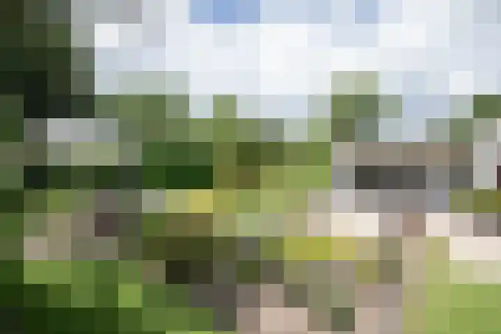 De Wingerd 9 Wierden thumbnail 22