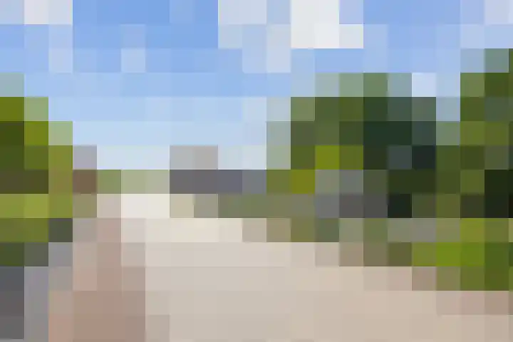 De Wingerd 9 Wierden thumbnail 23