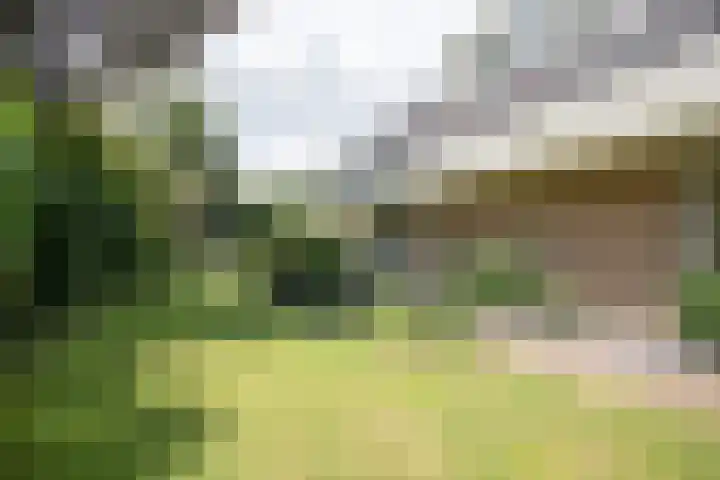 De Wingerd 9 Wierden thumbnail 23
