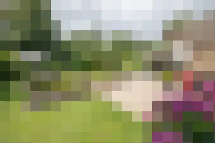 De Wingerd 9 Wierden thumbnail 24