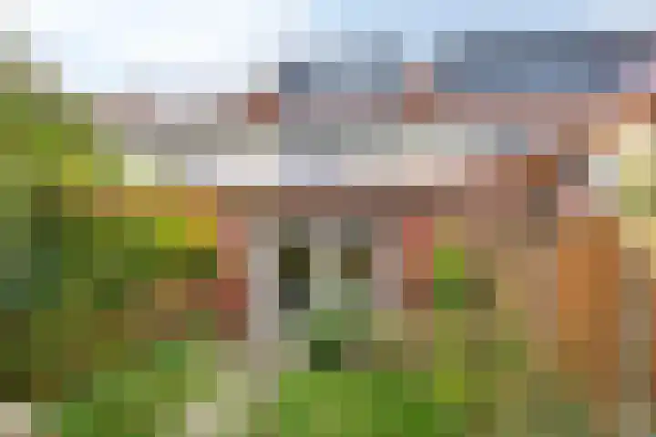 De Wingerd 9 Wierden thumbnail 25