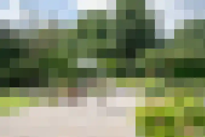 De Wingerd 9 Wierden thumbnail 27