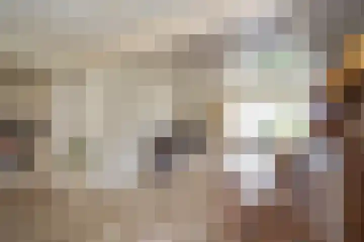 De Wingerd 9 Wierden thumbnail 36