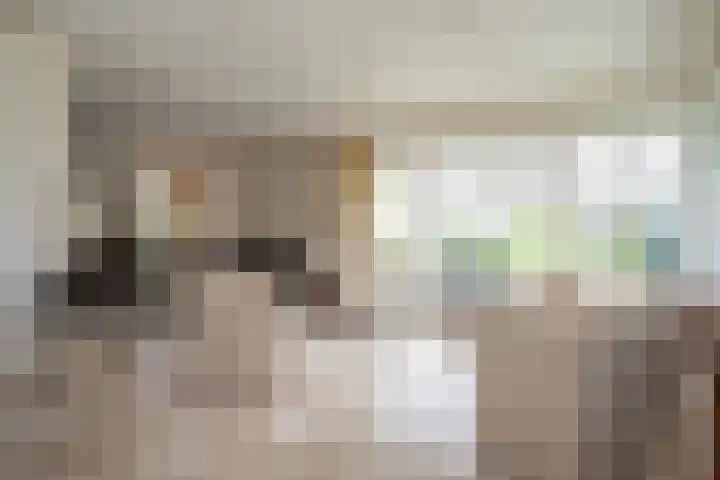 De Wingerd 9 Wierden thumbnail 37
